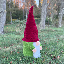 Load image into Gallery viewer, Buddy the Bucket Gnome Pattern