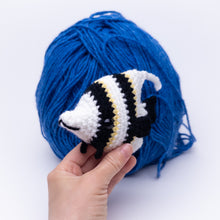 Load image into Gallery viewer, Angelo the Angelfish