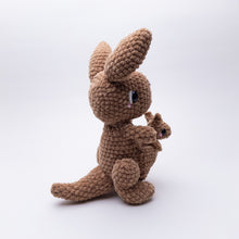 Load image into Gallery viewer, Kira and Kit the Kangaroos