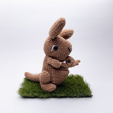 Load image into Gallery viewer, Kira and Kit the Kangaroos