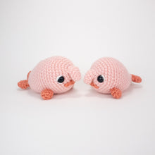 Load image into Gallery viewer, Bob and Bobby the Blobfish Buddies
