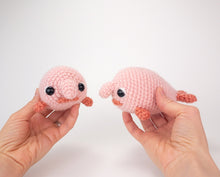 Load image into Gallery viewer, Bob and Bobby the Blobfish Buddies