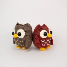 Load image into Gallery viewer, Ollie and Opal the Owls