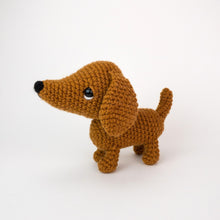 Load image into Gallery viewer, Diesel and Daisy the Dachshund Pups