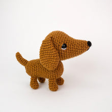 Load image into Gallery viewer, Diesel and Daisy the Dachshund Pups