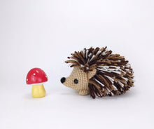 Load image into Gallery viewer, Heath the Hedgehog