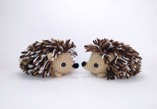 Load image into Gallery viewer, Heath the Hedgehog