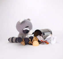 Load image into Gallery viewer, Rex the Raccoon