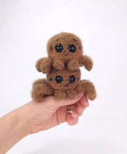 Load image into Gallery viewer, Jesse the Jumping Spider