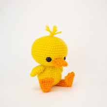 Load image into Gallery viewer, Dilly and Mallard the Duck Friends