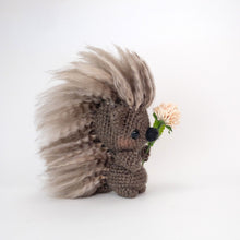 Load image into Gallery viewer, Pepper and Poe the Porcupines Pals