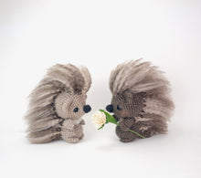 Load image into Gallery viewer, Pepper and Poe the Porcupines Pals
