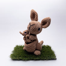 Load image into Gallery viewer, Kira and Kit the Kangaroos
