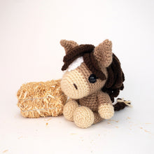 Load image into Gallery viewer, Henry the Horse
