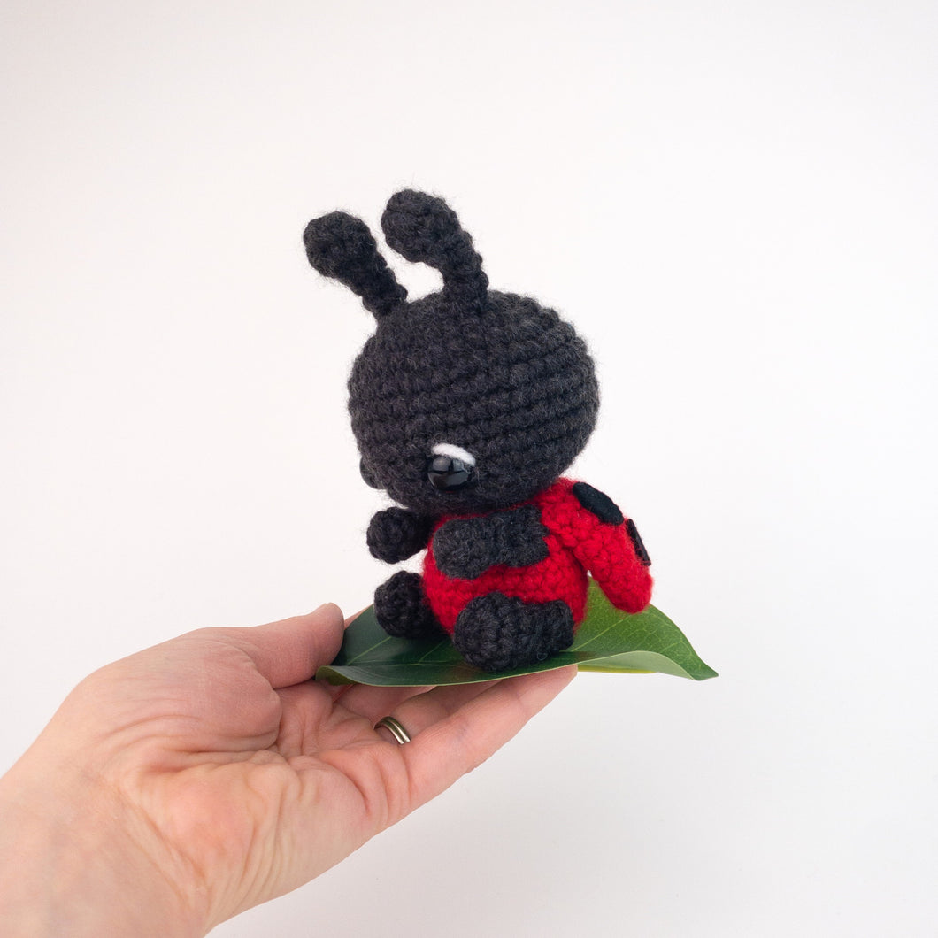 Lulu the Ladybug