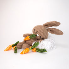 Load image into Gallery viewer, Sissy the Snuggly Bunny Rabbit
