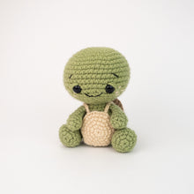 Load image into Gallery viewer, 4 Turtles - Pattern Pack
