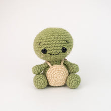 Load image into Gallery viewer, Tommy the Turtle
