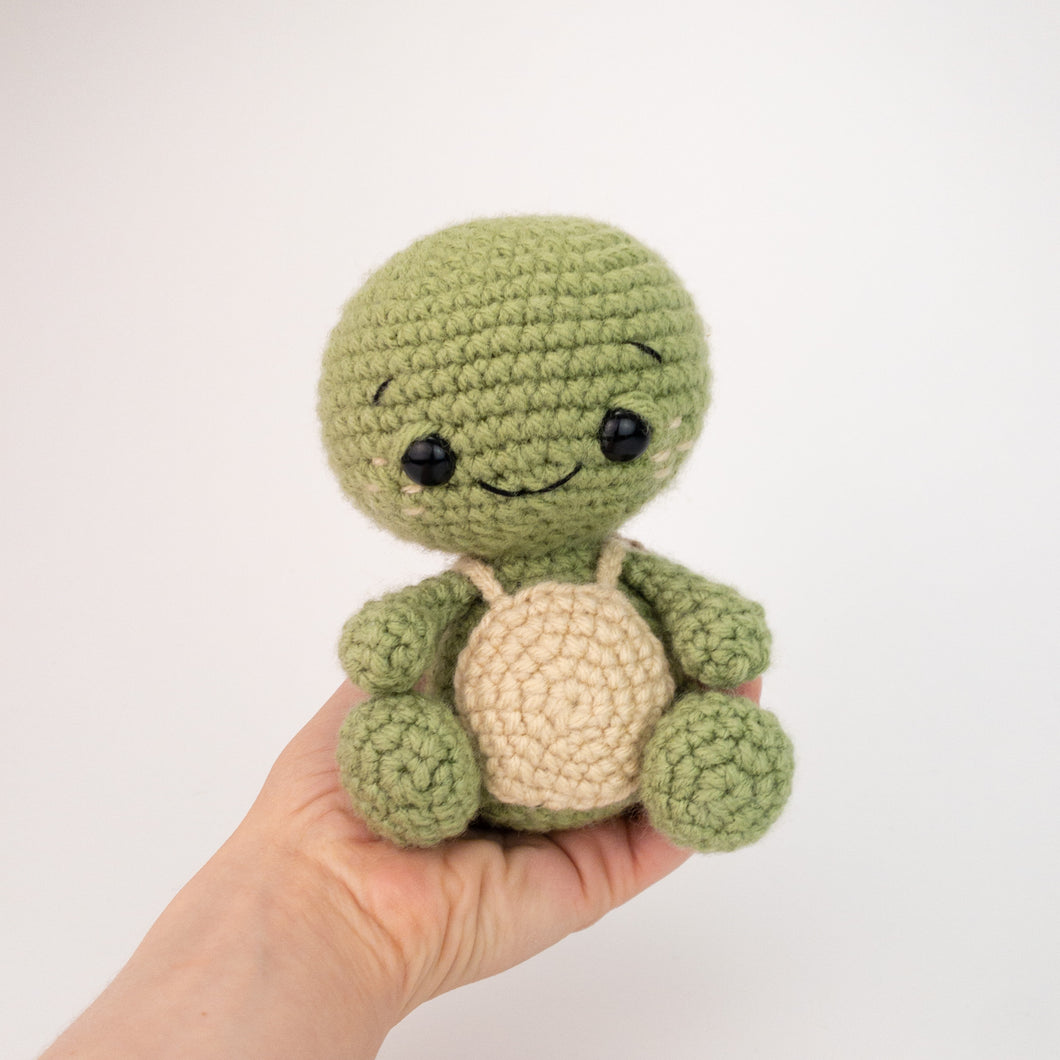 Tommy the Turtle