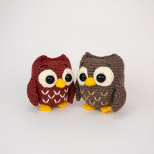 Load image into Gallery viewer, Ollie and Opal the Owls
