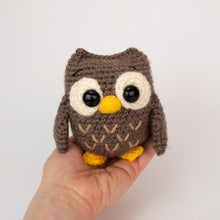 Load image into Gallery viewer, Ollie and Opal the Owls
