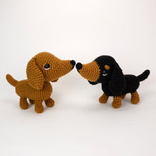 Load image into Gallery viewer, Diesel and Daisy the Dachshund Pups
