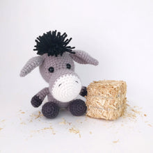 Load image into Gallery viewer, Donovan the Donkey
