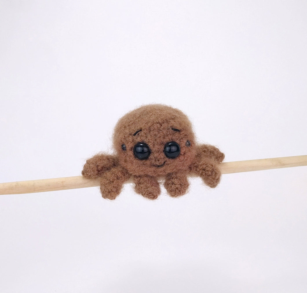 Jesse the Jumping Spider