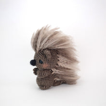Load image into Gallery viewer, Pepper and Poe the Porcupines Pals
