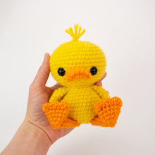 Load image into Gallery viewer, Dilly and Mallard the Duck Friends

