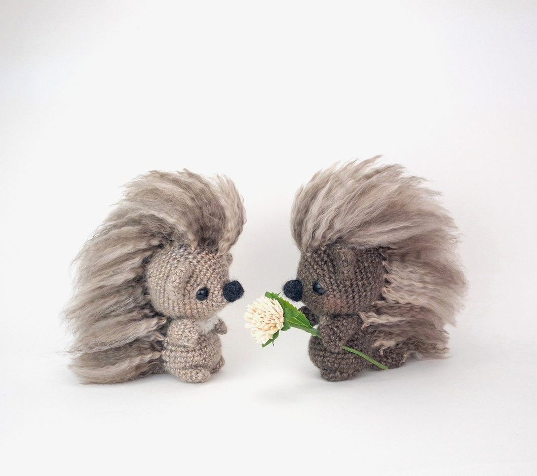 Pepper and Poe the Porcupines Pals