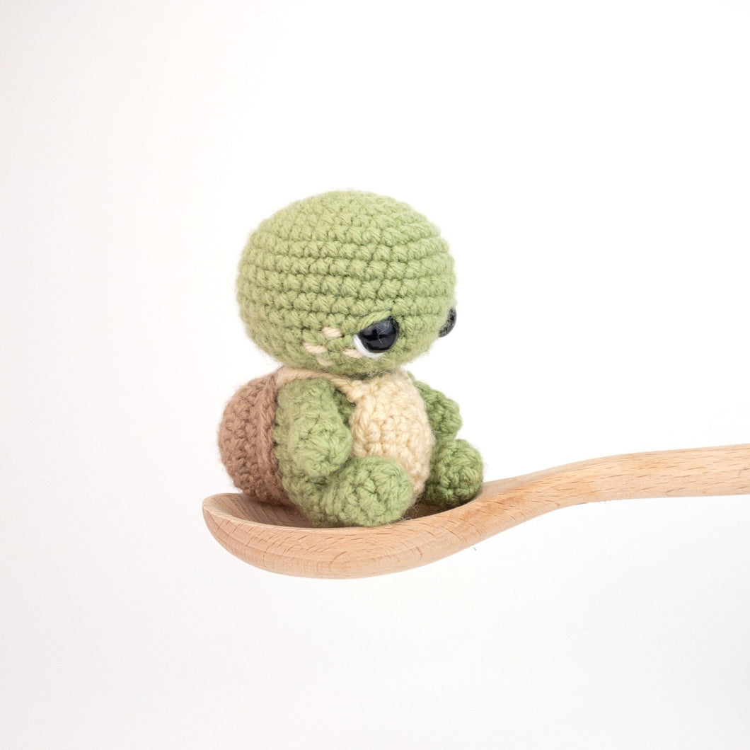 Timmy the Tiny Turtle